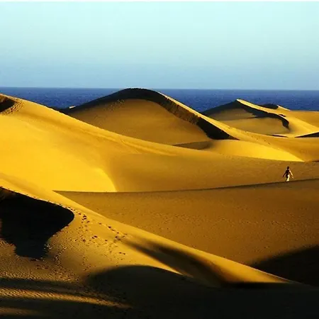 Céntrico 737 * Playa del Inglés